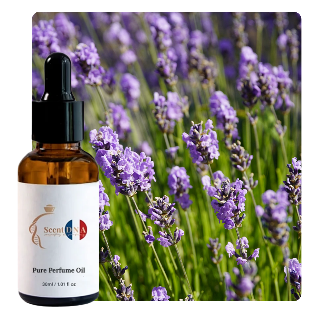 Lavender Perfume Oil