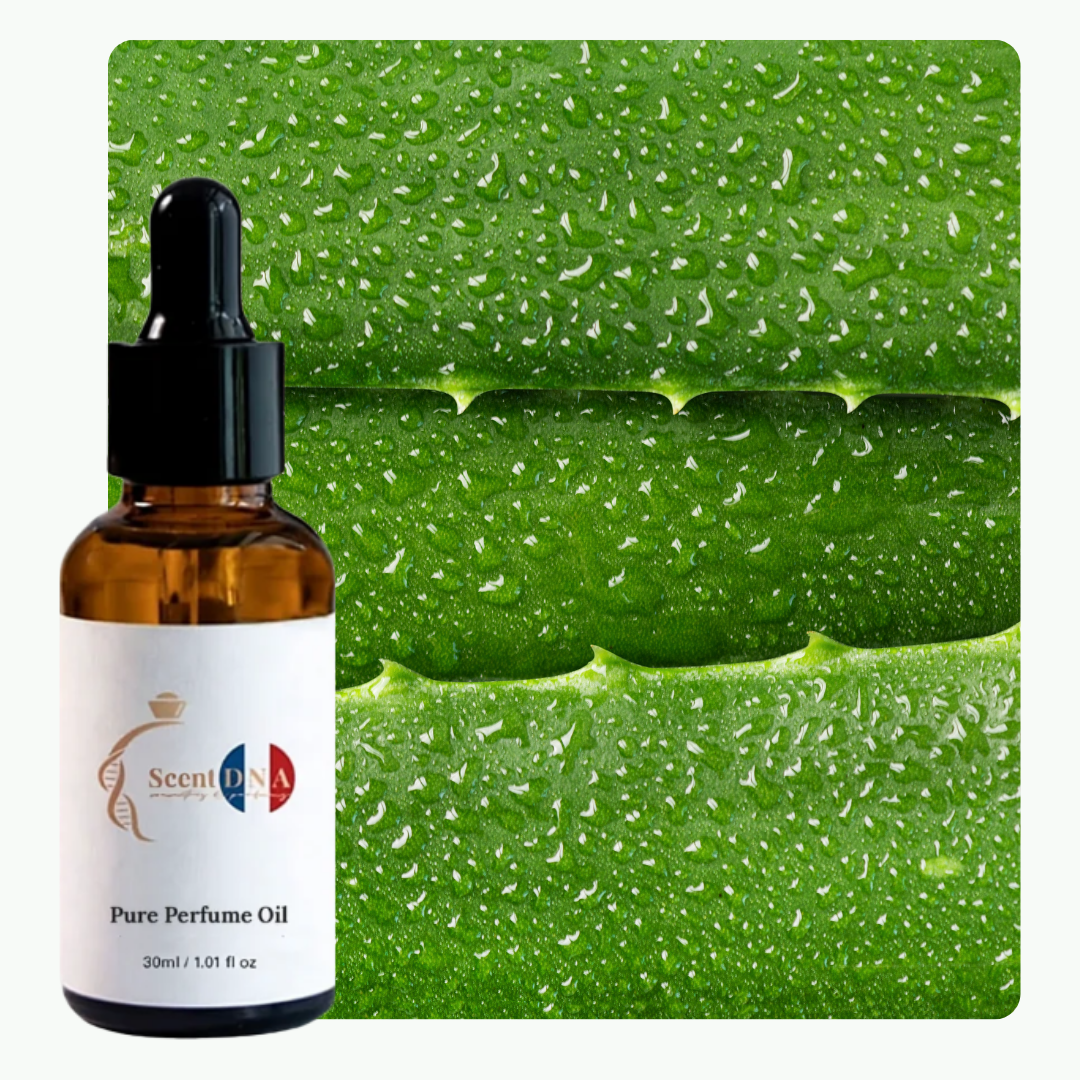 زيت الصبار العطري