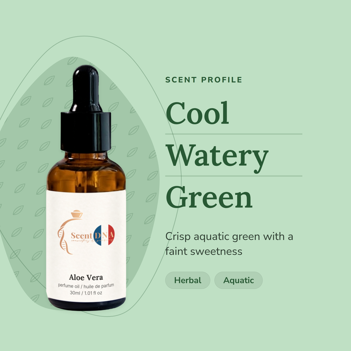 Aloe Vera Perfume Oil scent profile: cool, watery, green. Crisp aquatic green with a faint sweetness