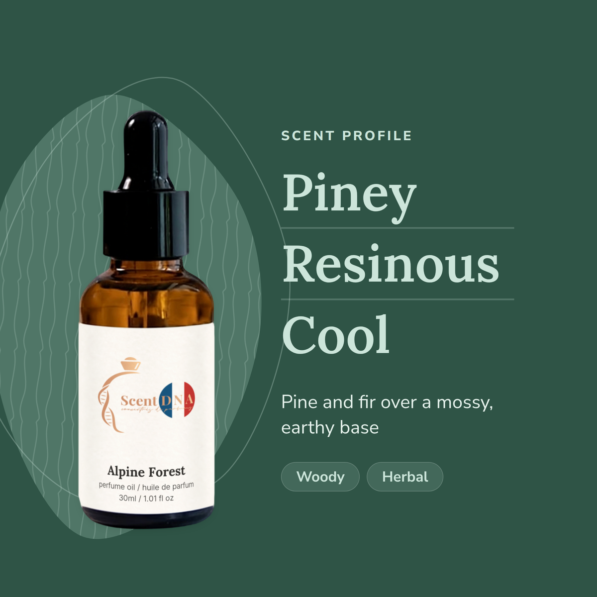 Alpine Forest Perfume Oil scent profile: piney, resinous, cool. Pine and fir over a mossy, earthy base