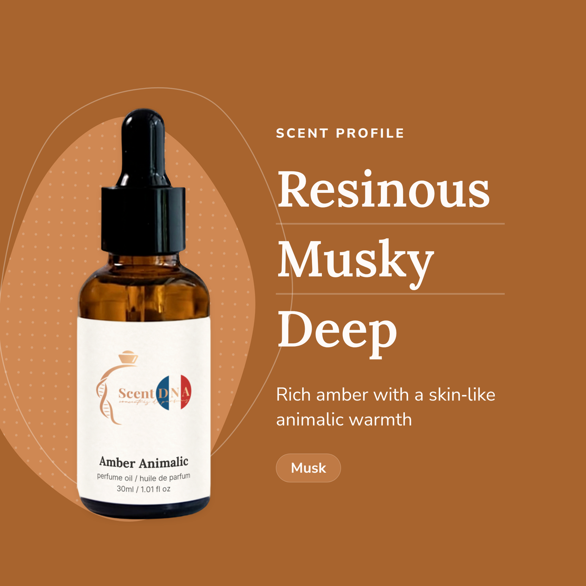 Amber Animalic Perfume Oil scent profile: resinous, musky, deep. Rich amber with a skin-like animalic warmth