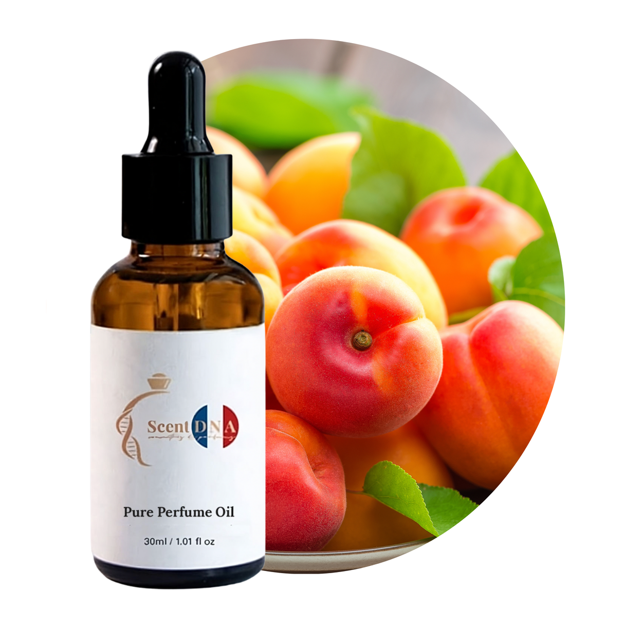 زيت المشمش العطري