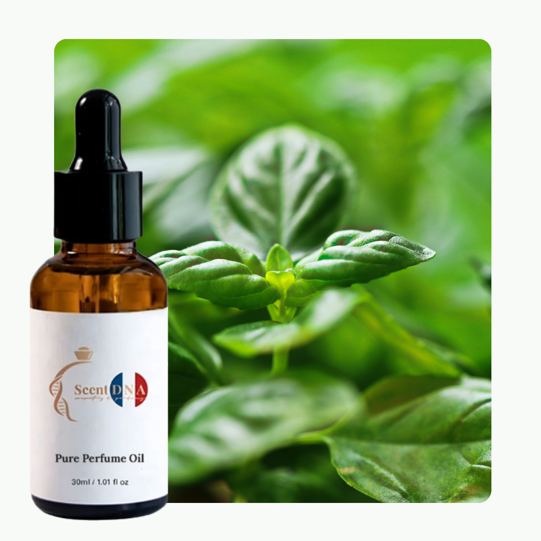 Basil Perfume Oil