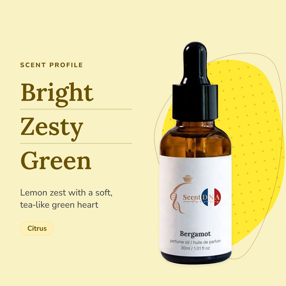 Bergamot Perfume Oil scent profile: bright, zesty, green. Lemon zest with a soft, tea-like green heart