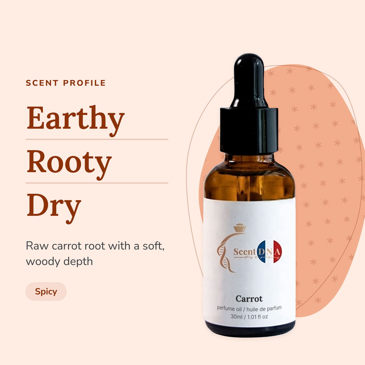 Carrot Perfume Oil scent profile: earthy, rooty, dry. Raw carrot root with a soft, woody depth