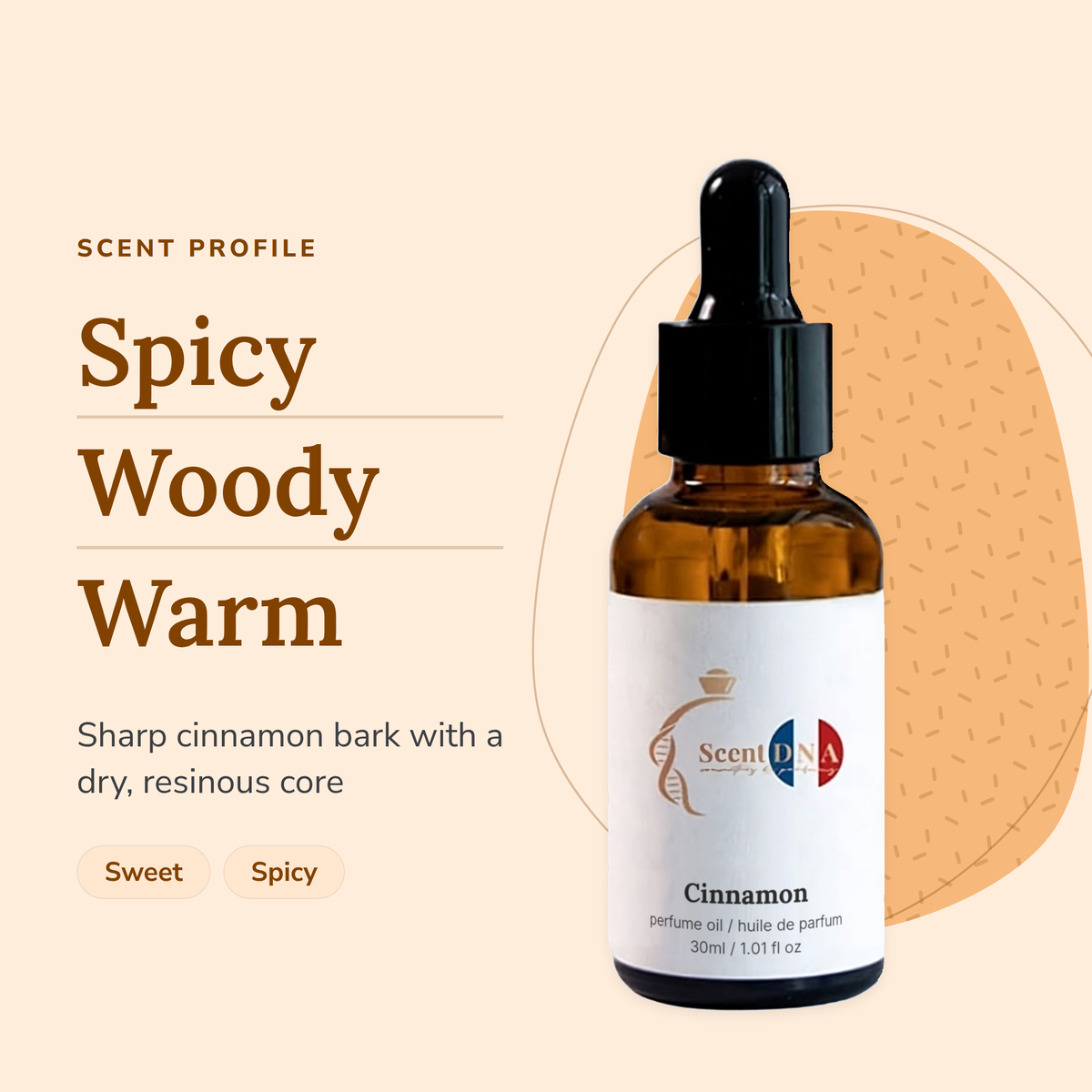Cinnamon Perfume Oil scent profile: spicy, woody, warm. Sharp cinnamon bark with a dry, resinous core
