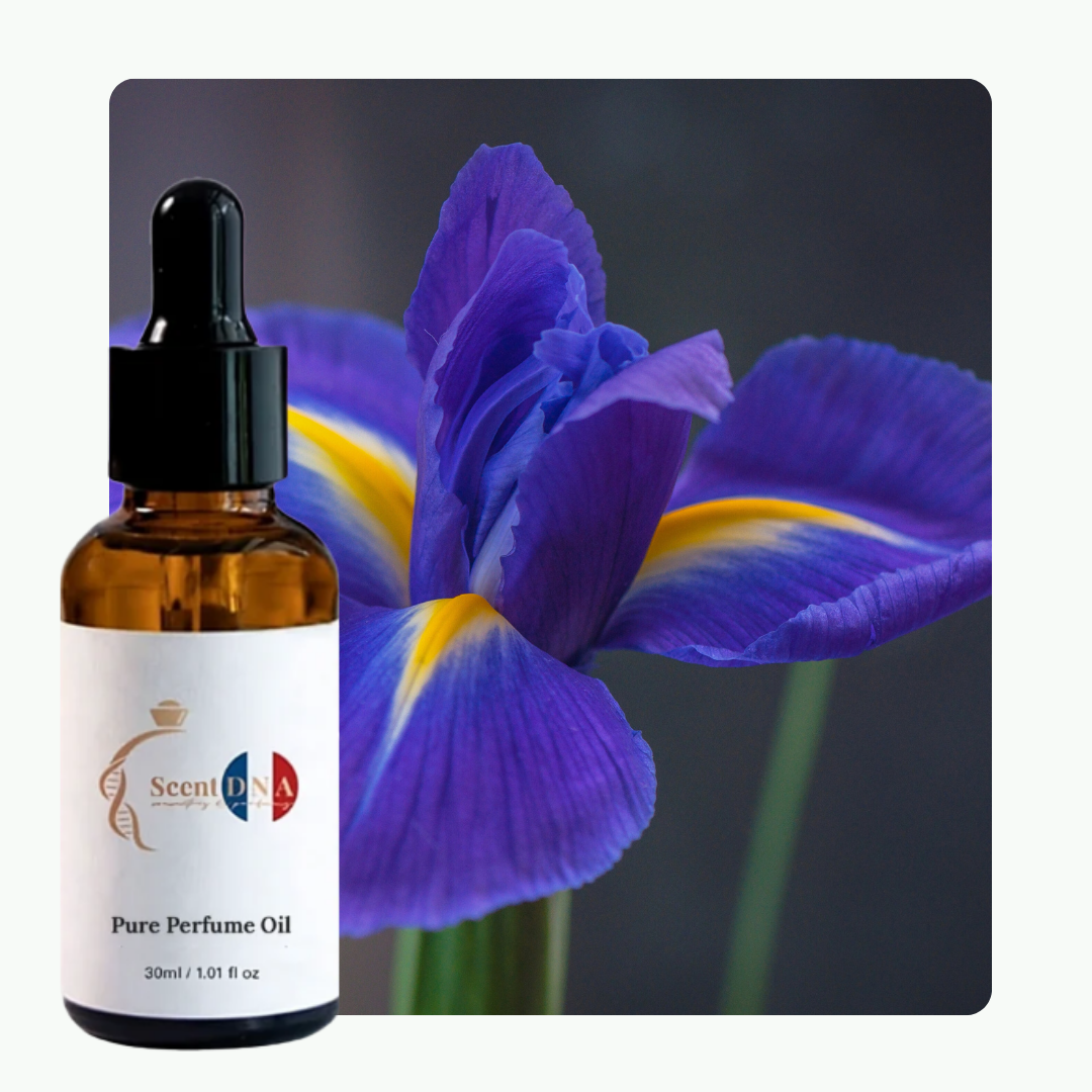 زيت زهرة السوسن العطري