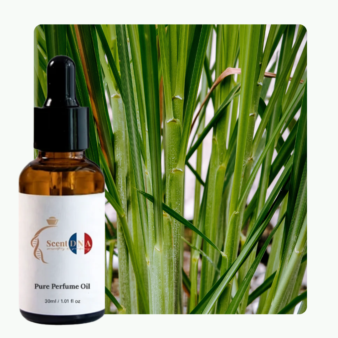 Lemongrass Perfume Oil