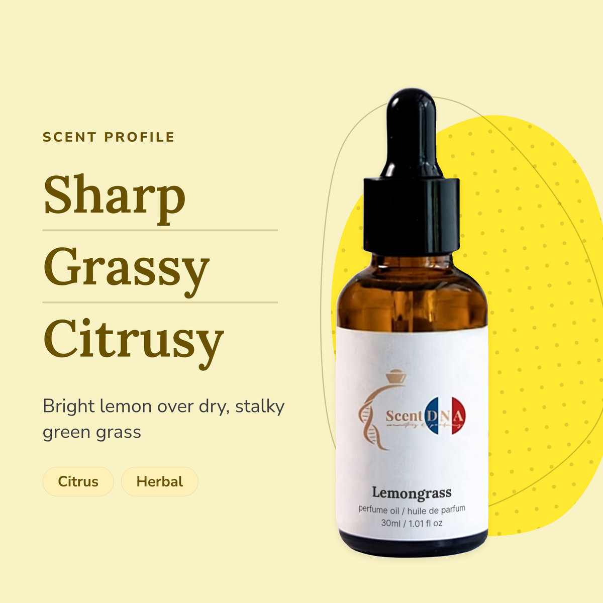 Lemongrass Perfume Oil scent profile: sharp, grassy, citrusy. Bright lemon over dry, stalky green grass