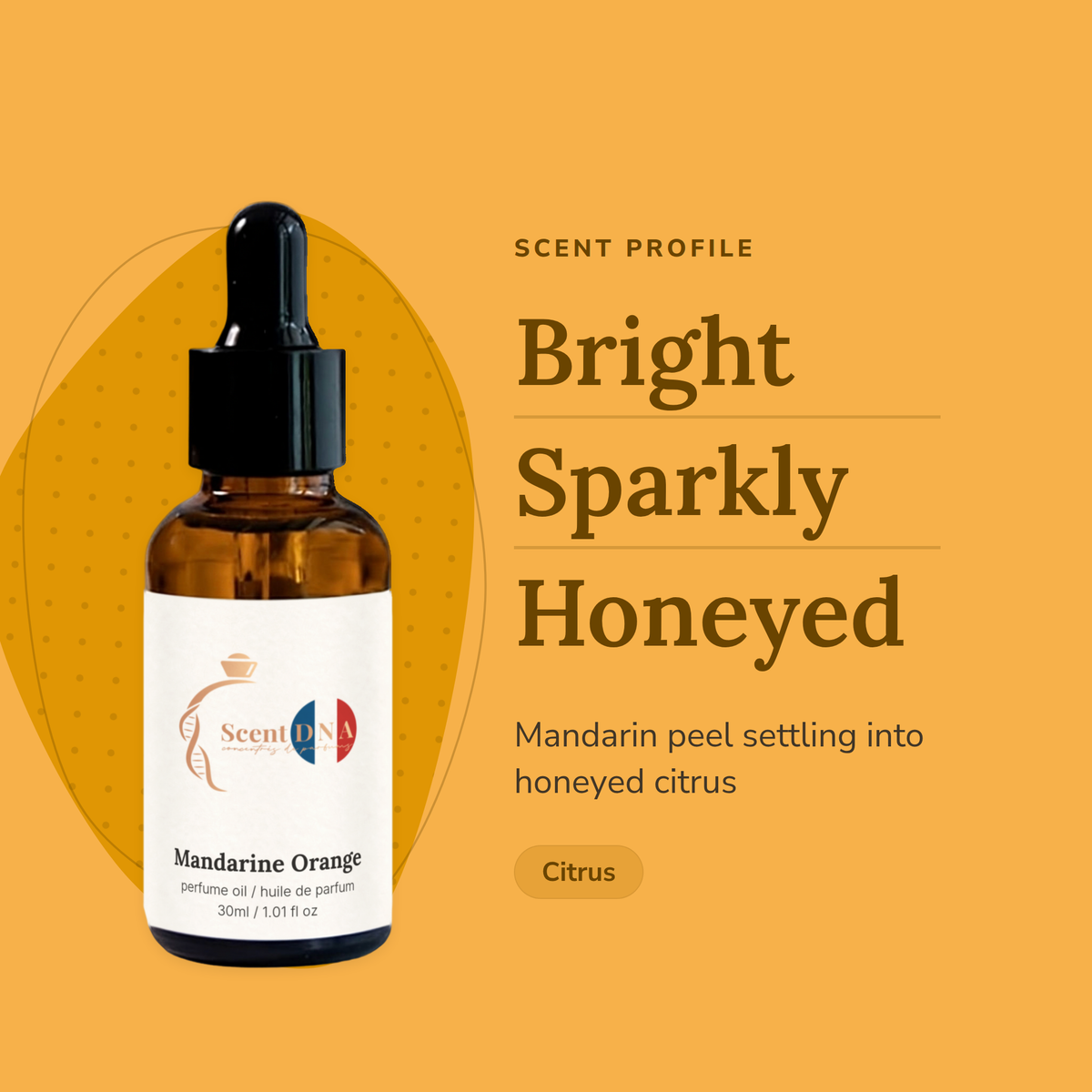 Mandarine Orange Perfume Oil scent profile: bright, sparkly, honeyed. Mandarin peel settling into honeyed citrus