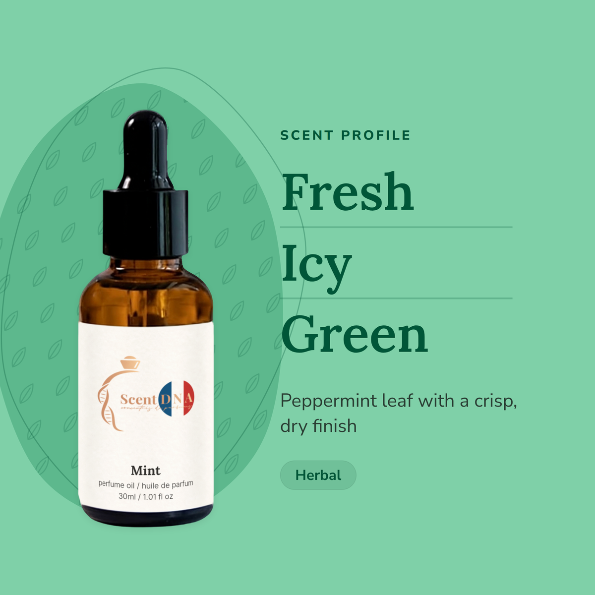 Mint Perfume Oil scent profile: fresh, icy, green. Peppermint leaf with a crisp, dry finish