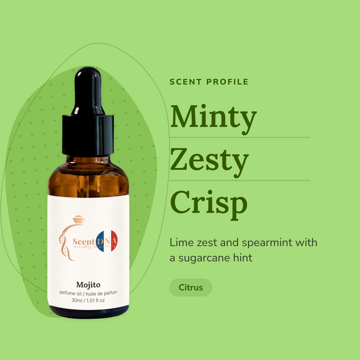 Mojito Perfume Oil scent profile: minty, zesty, crisp. Lime zest and spearmint with a sugarcane hint