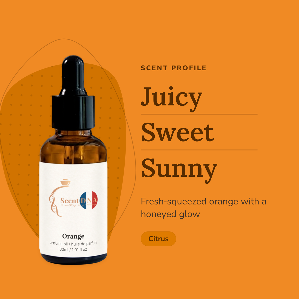 Orange Perfume Oil scent profile: juicy, sweet, sunny. Fresh-squeezed orange with a honeyed glow