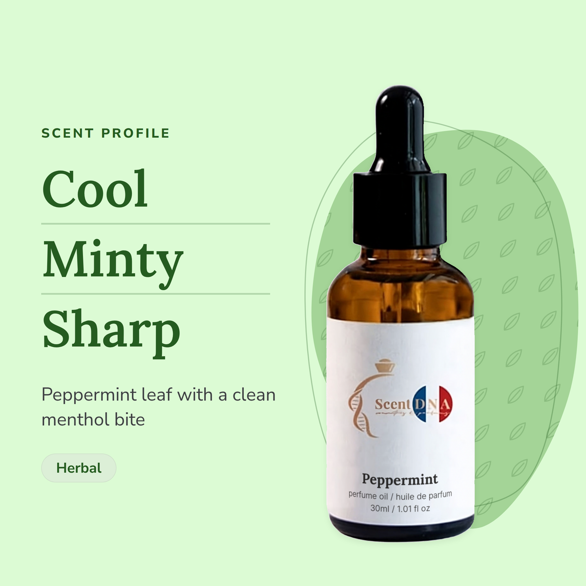 Peppermint Perfume Oil scent profile: cool, minty, sharp. Peppermint leaf with a clean menthol bite