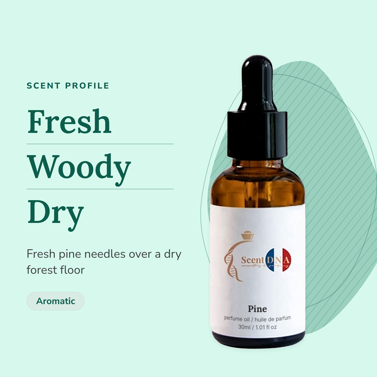 Pine Perfume Oil scent profile: fresh, woody, dry. Fresh pine needles over a dry forest floor