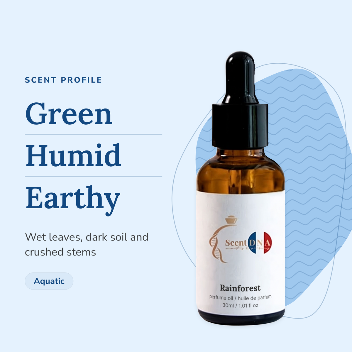 Rainforest Perfume Oil scent profile: green, humid, earthy. Wet leaves, dark soil and crushed stems