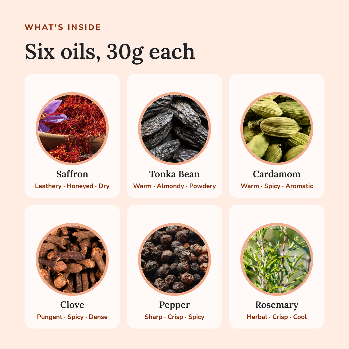 What's inside the Spicy Perfume Oil Bundle: Saffron, Tonka Bean, Cardamom, Clove, Pepper and Rosemary, 30g each