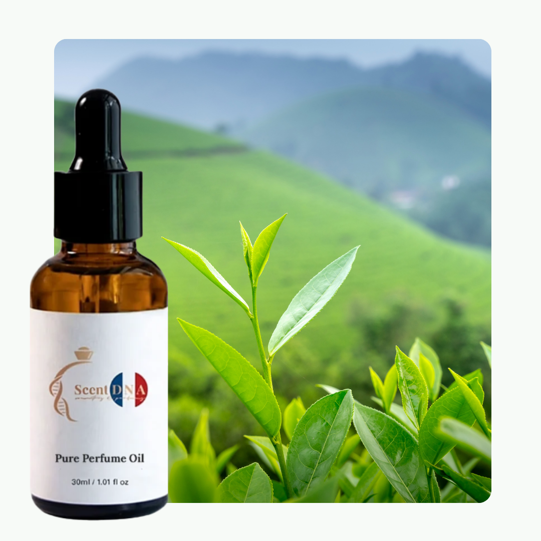 Tea Tree Perfume Oil