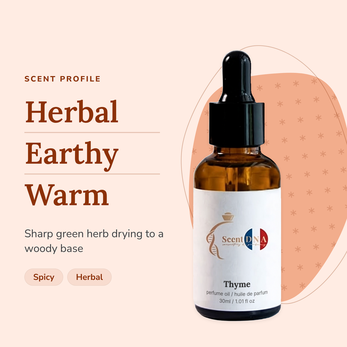 Thyme Perfume Oil scent profile: herbal, earthy, warm. Sharp green herb drying to a woody base