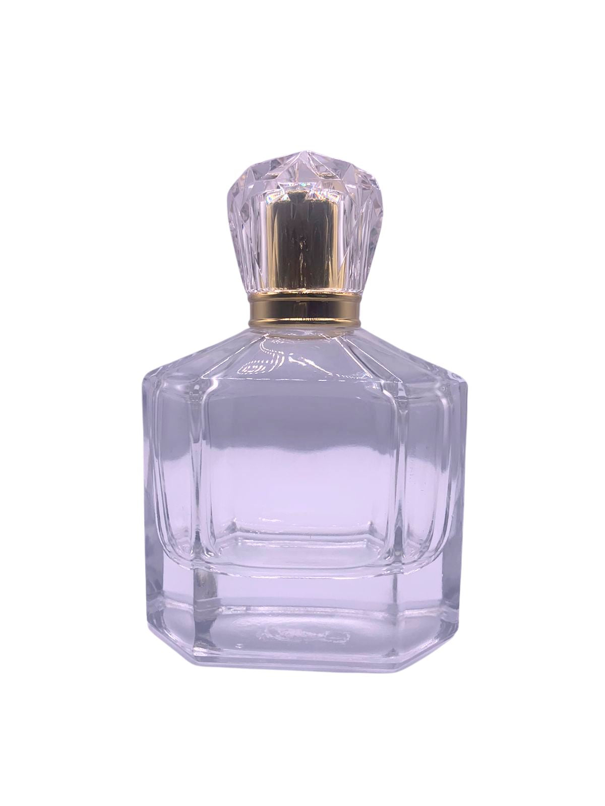 BT028- 100 ML Glass Bottle