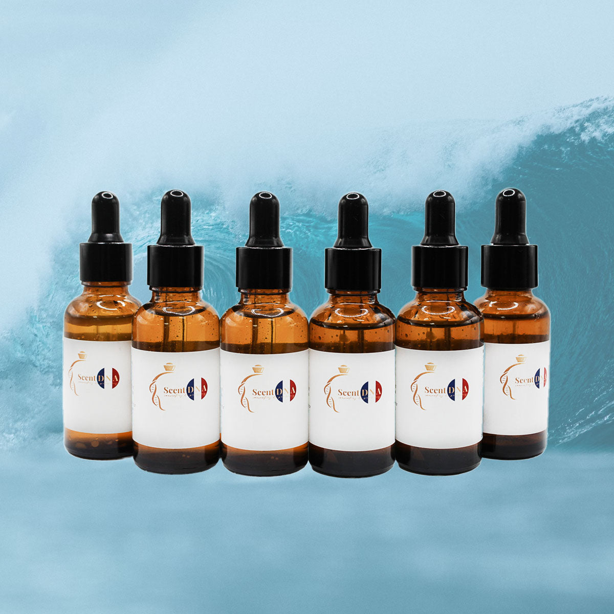 Powdery and Aquatic Perfume Oil Bundle