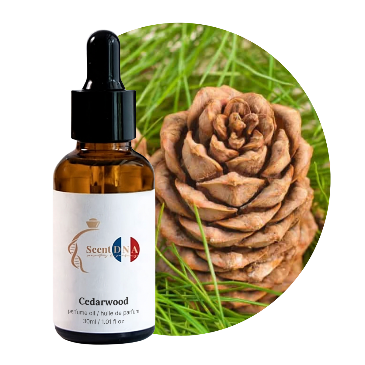 Cedarwood Perfume Oil, 30ml amber glass dropper bottle by Scent DNA