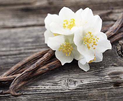 Passion Perfume Oil