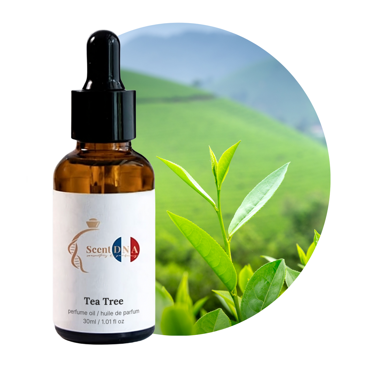 Tea Tree Perfume Oil, 30ml amber glass dropper bottle by Scent DNA