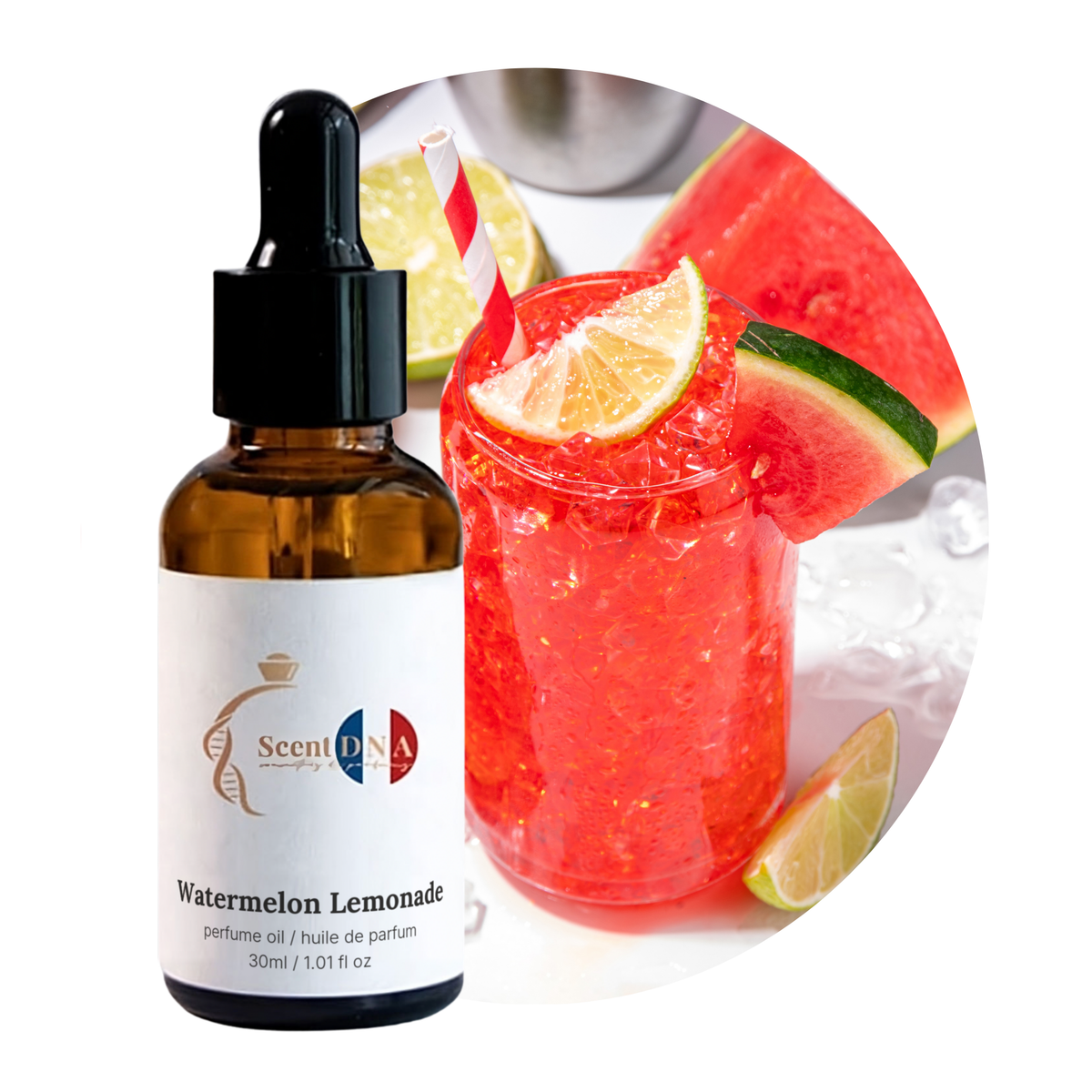 Watermelon Lemonade Fragrance Oil, 30ml amber glass dropper bottle by Scent DNA