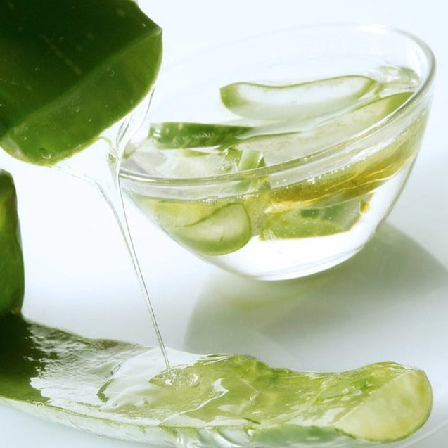 Aloe Vera Perfume Oil