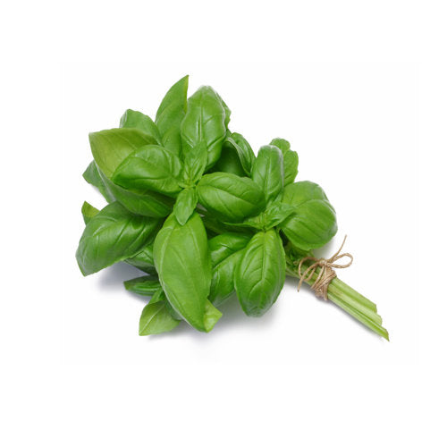 Basil Perfume Oil