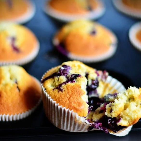 Blueberry Muffin