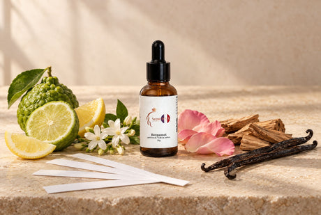 Scent DNA Bergamot perfume oil dropper bottle with bergamot, lemon, jasmine, rose petals, sandalwood and vanilla pods, and paper smelling strips