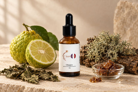 Scent DNA Chypre perfume oil dropper bottle with bergamot, oak moss, labdanum resin and patchouli leaves on a stone surface