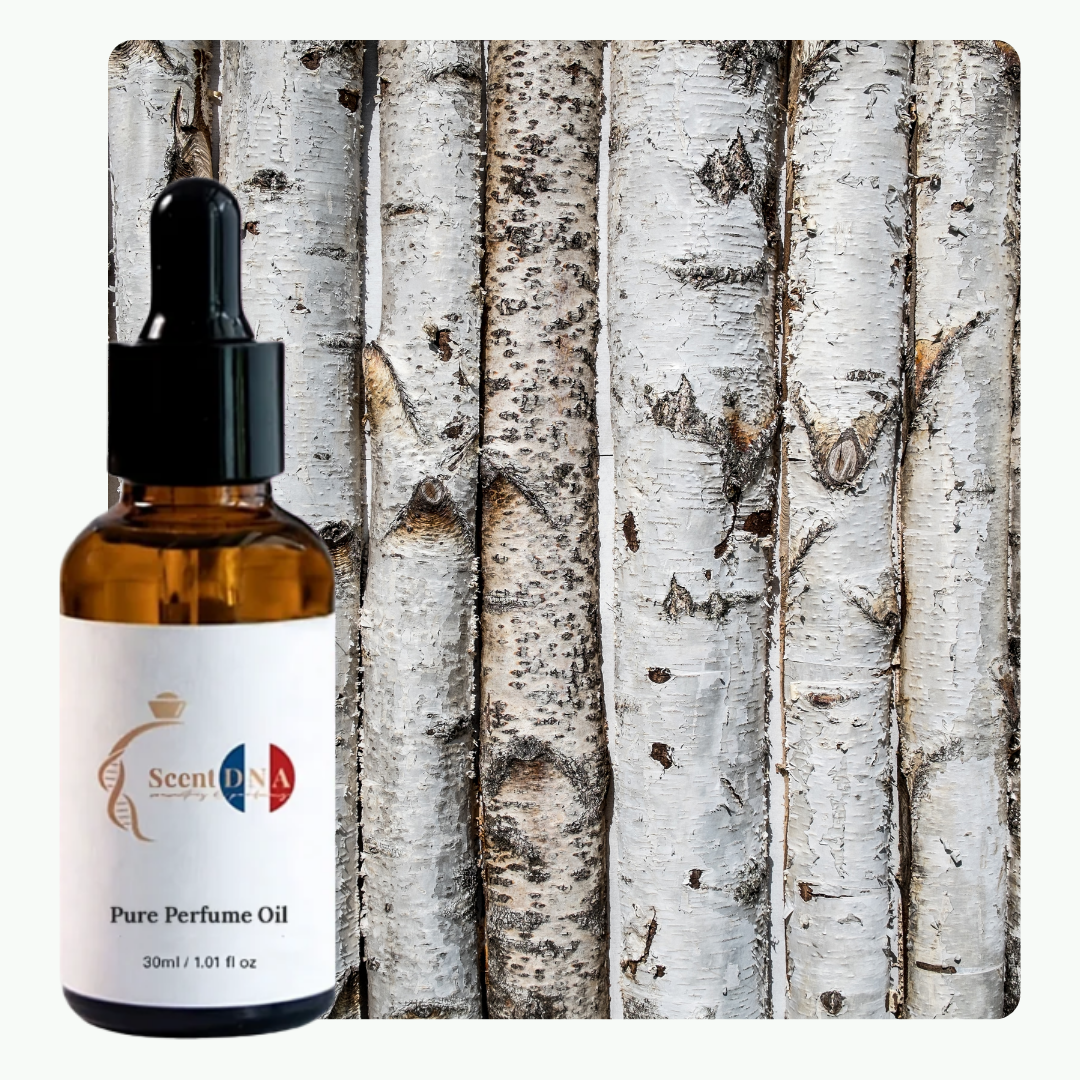 زيت خشب البتولا العطري