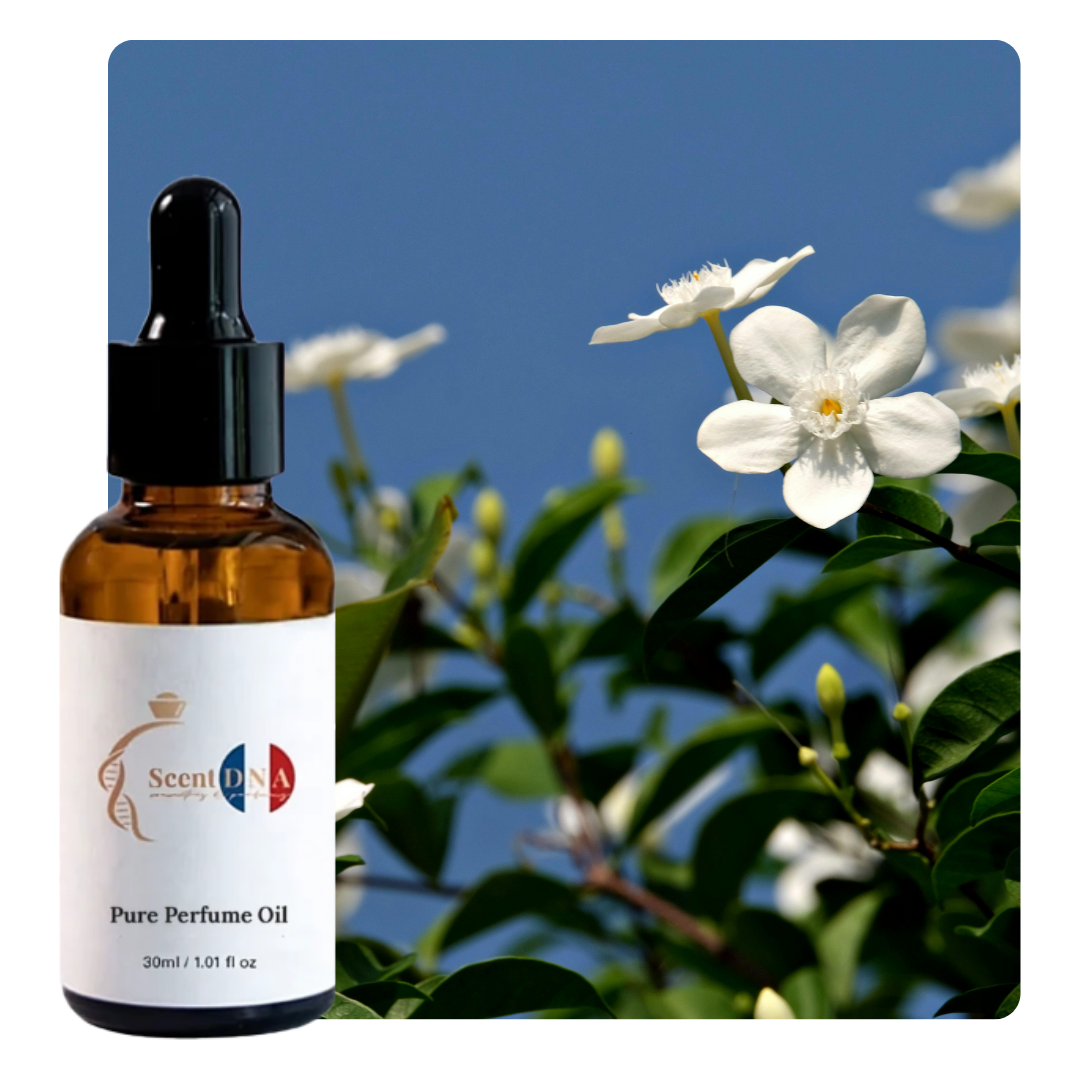 زيت الياسمين العطري