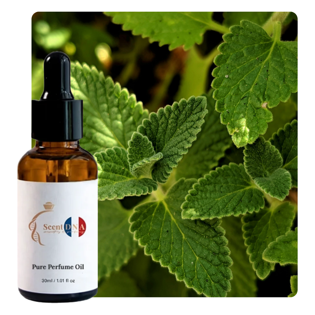 زيت النعناع الفلفلي العطري