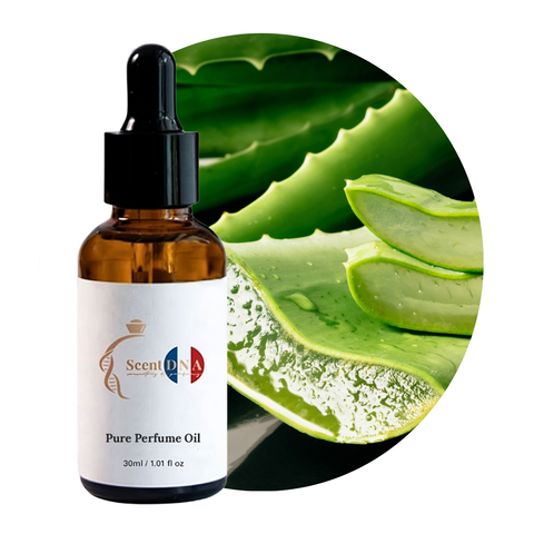 زيت الألوفيرا العطري