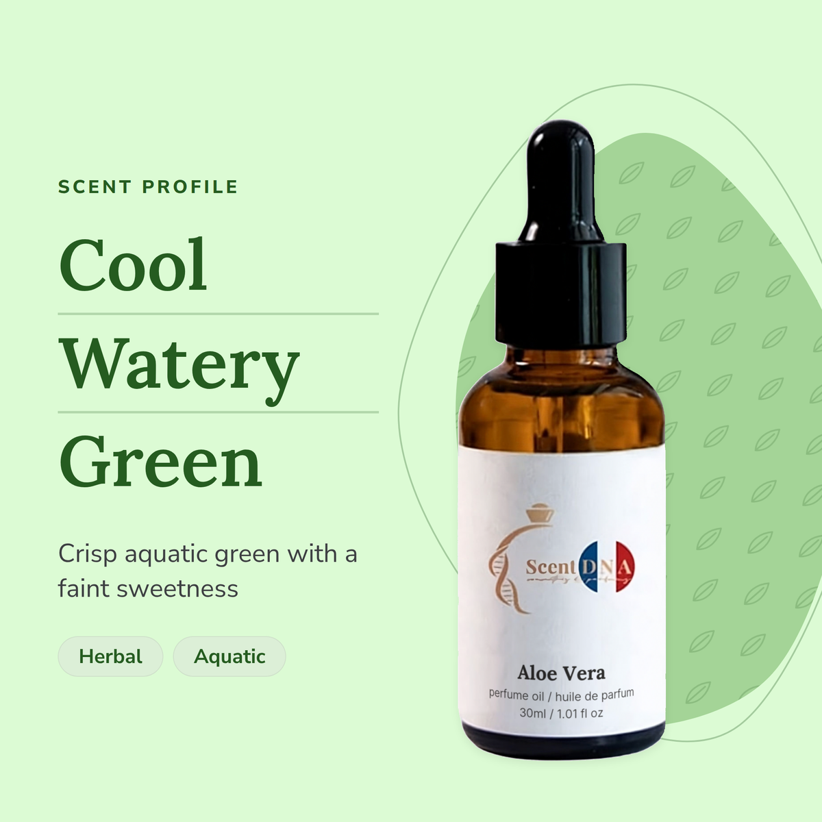 Aloe Vera Perfume Oil scent profile: cool, watery, green. Crisp aquatic green with a faint sweetness
