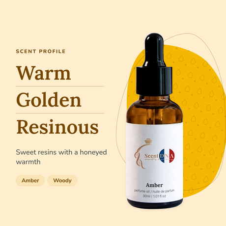 Amber Perfume Oil scent profile: warm, golden, resinous. Sweet resins with a honeyed warmth