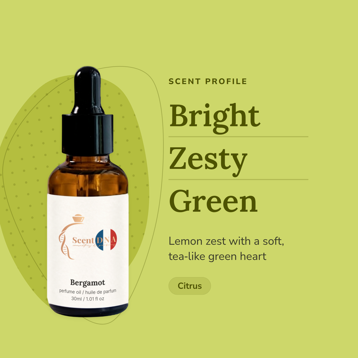 Bergamot Perfume Oil scent profile: bright, zesty, green. Lemon zest with a soft, tea-like green heart