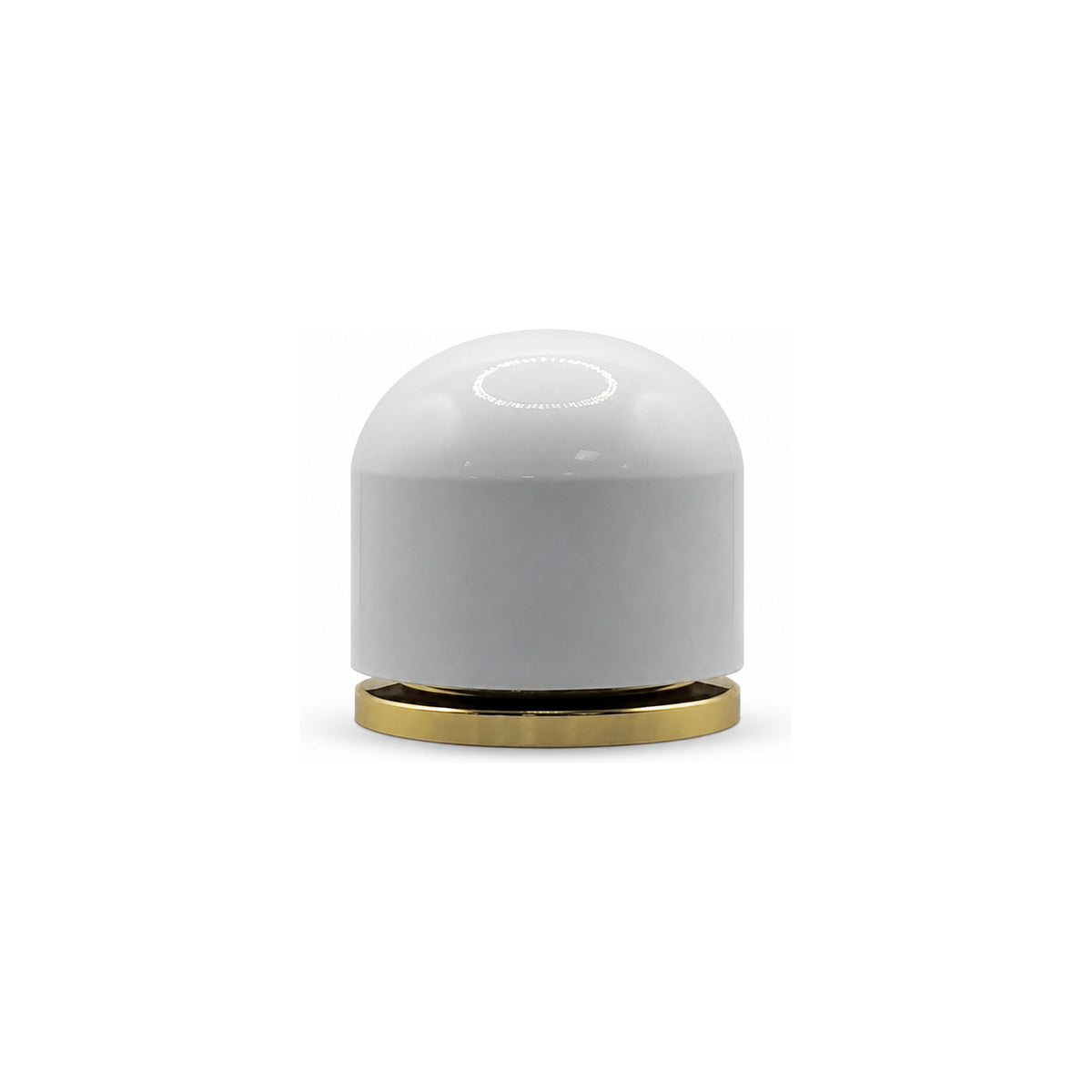 CP-23 Bottle Cap