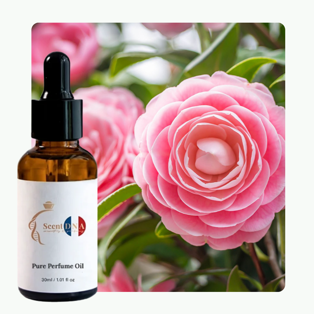 Camellia Perfume Oil