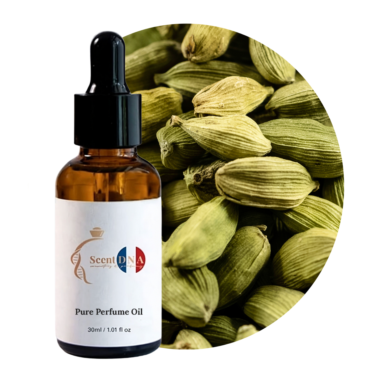 Cardamom Perfume Oil