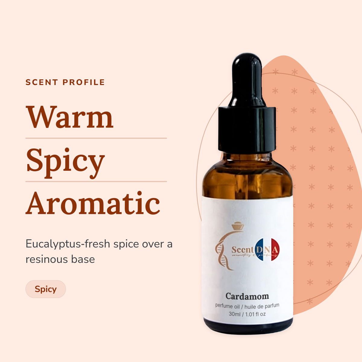 Cardamom Perfume Oil scent profile: warm, spicy, aromatic. Eucalyptus-fresh spice over a resinous base