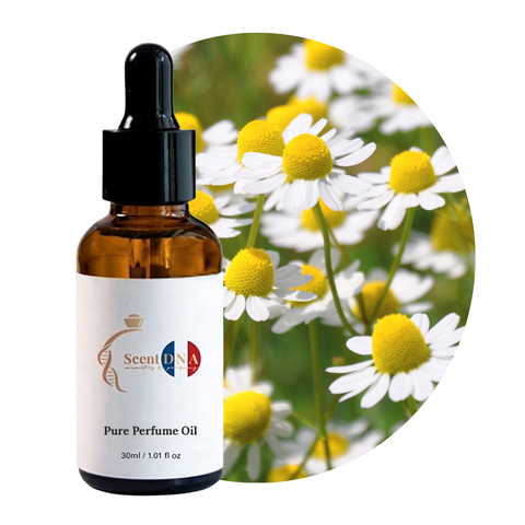 زيت البابونج العطري