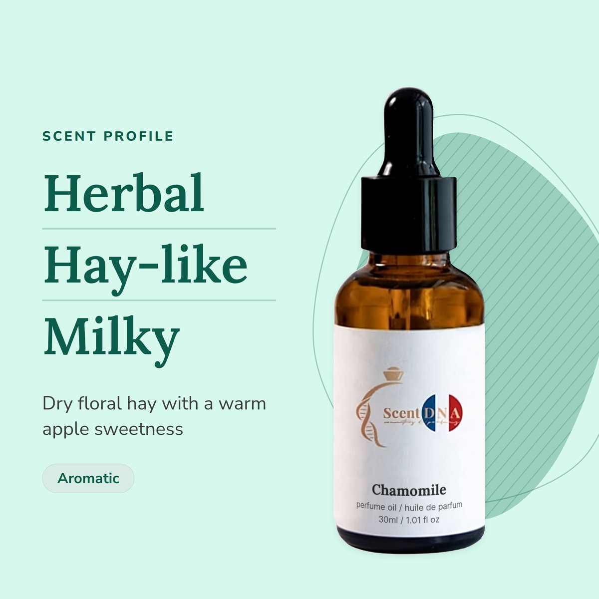 Chamomile Perfume Oil scent profile: herbal, hay-like, milky. Dry floral hay with a warm apple sweetness