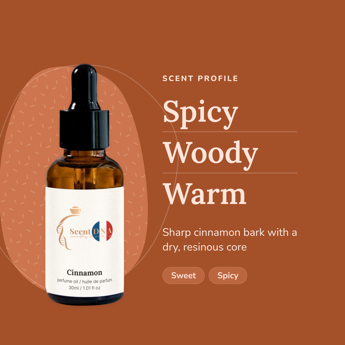 Cinnamon Perfume Oil scent profile: spicy, woody, warm. Sharp cinnamon bark with a dry, resinous core