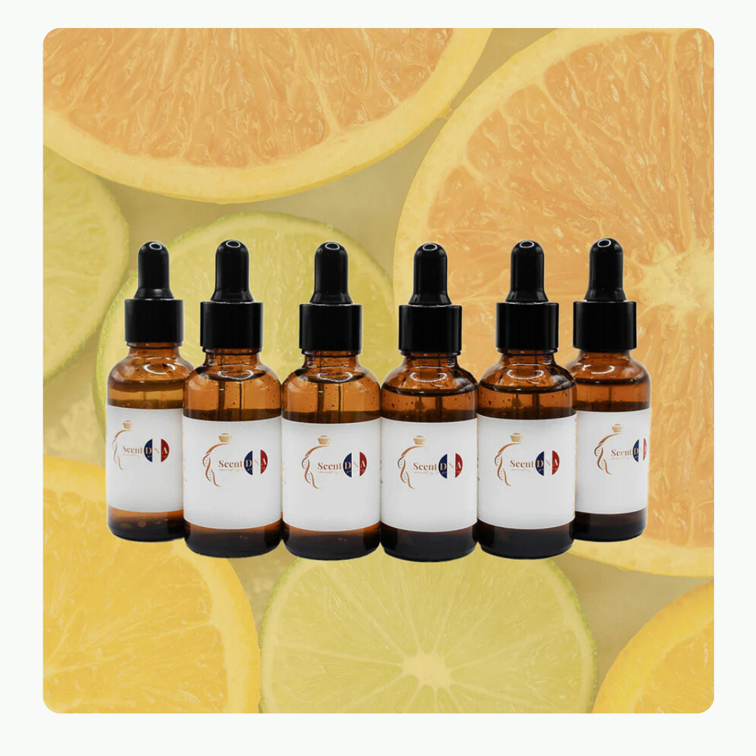 Citrus Perfume Oil Bundle
