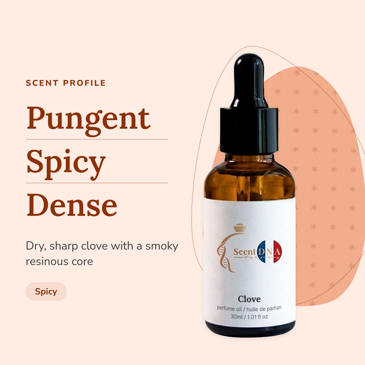 Clove Perfume Oil scent profile: pungent, spicy, dense. Dry, sharp clove with a smoky resinous core